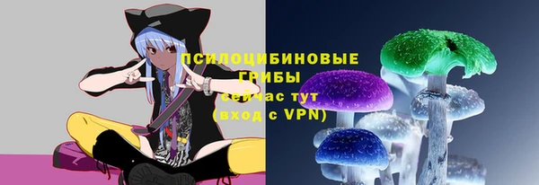 ПСИЛОЦИБИНОВЫЕ ГРИБЫ Новозыбков