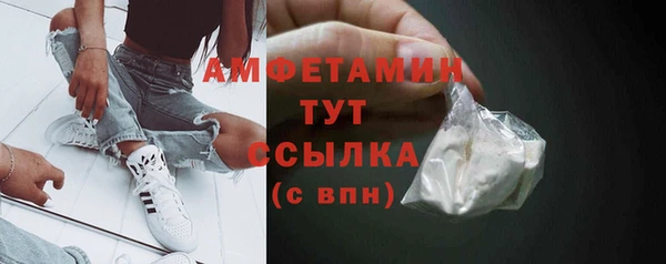ПСИЛОЦИБИНОВЫЕ ГРИБЫ Новозыбков