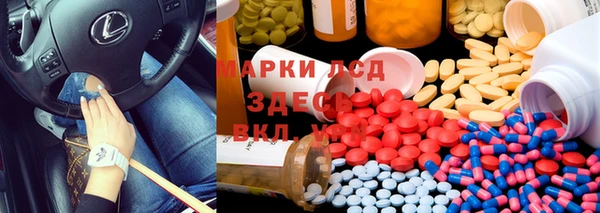 ПСИЛОЦИБИНОВЫЕ ГРИБЫ Новозыбков