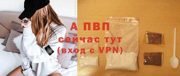 ПСИЛОЦИБИНОВЫЕ ГРИБЫ Новозыбков