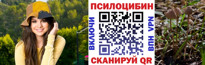 Купить закладки Сердобск Галлюциногенные грибы мицелий